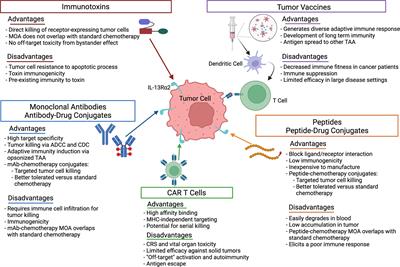 Recent Advances in IL-13Rα2-Directed Cancer Immunotherapy